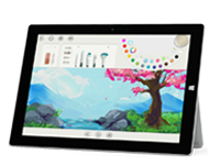 金湖Surface 无法开启、Windows 无法启动或电池无法充电