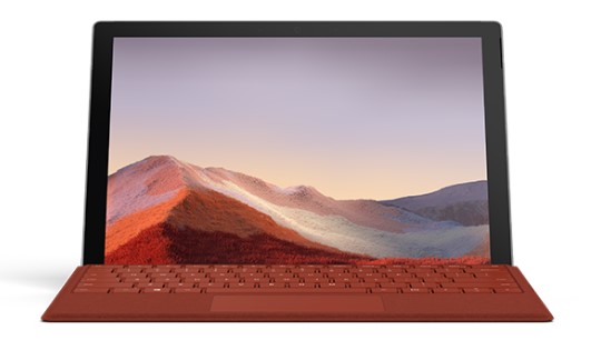 金湖清洁和维护 Surface